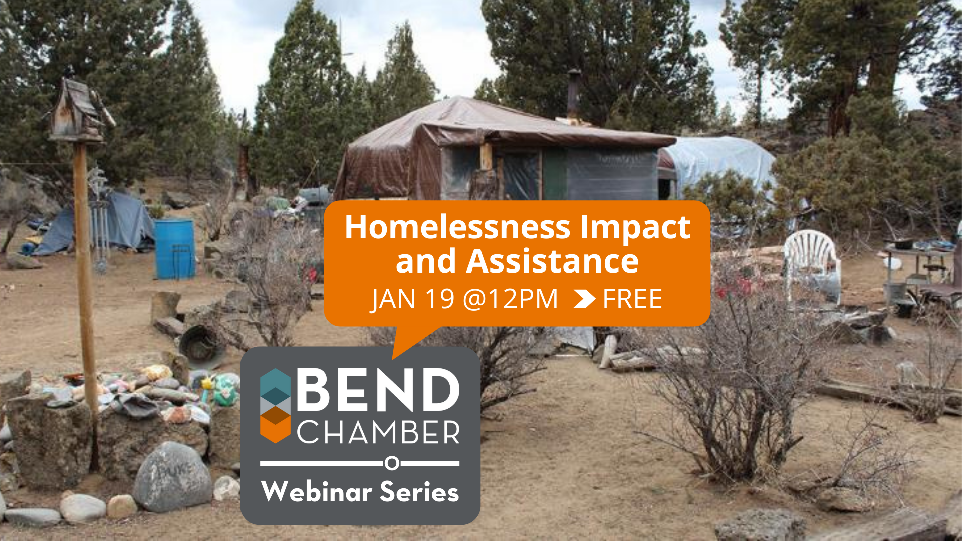 Homelessness Impact and Assistance